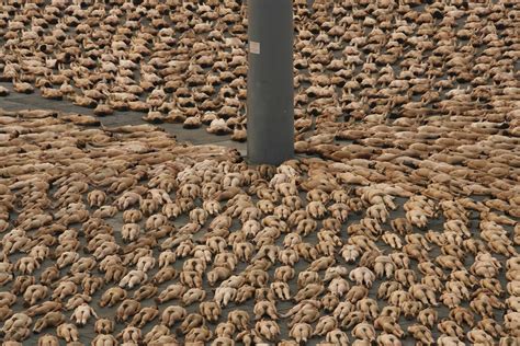 nude pictures of teens|The Naked World of Spencer Tunick